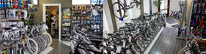 Fahrradladen Dresden - Der Dynamo Innen