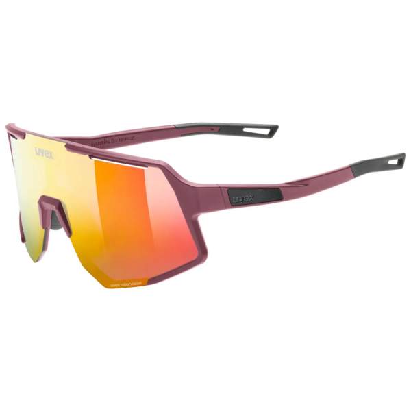 Uvex Sequenze CV Brille