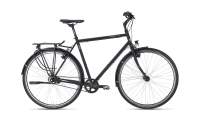 VSF T-300 Shimano Alfine 8-Gang Freilauf / HS22 / Gates Diamant - 2025